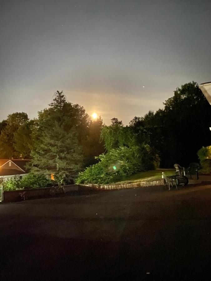 Fran Cove Motel Озеро Джордж Экстерьер фото